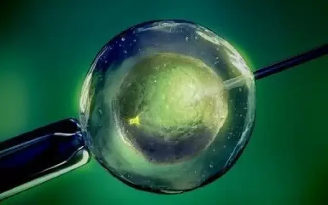 胚胎学家